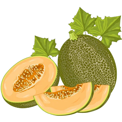 Melon